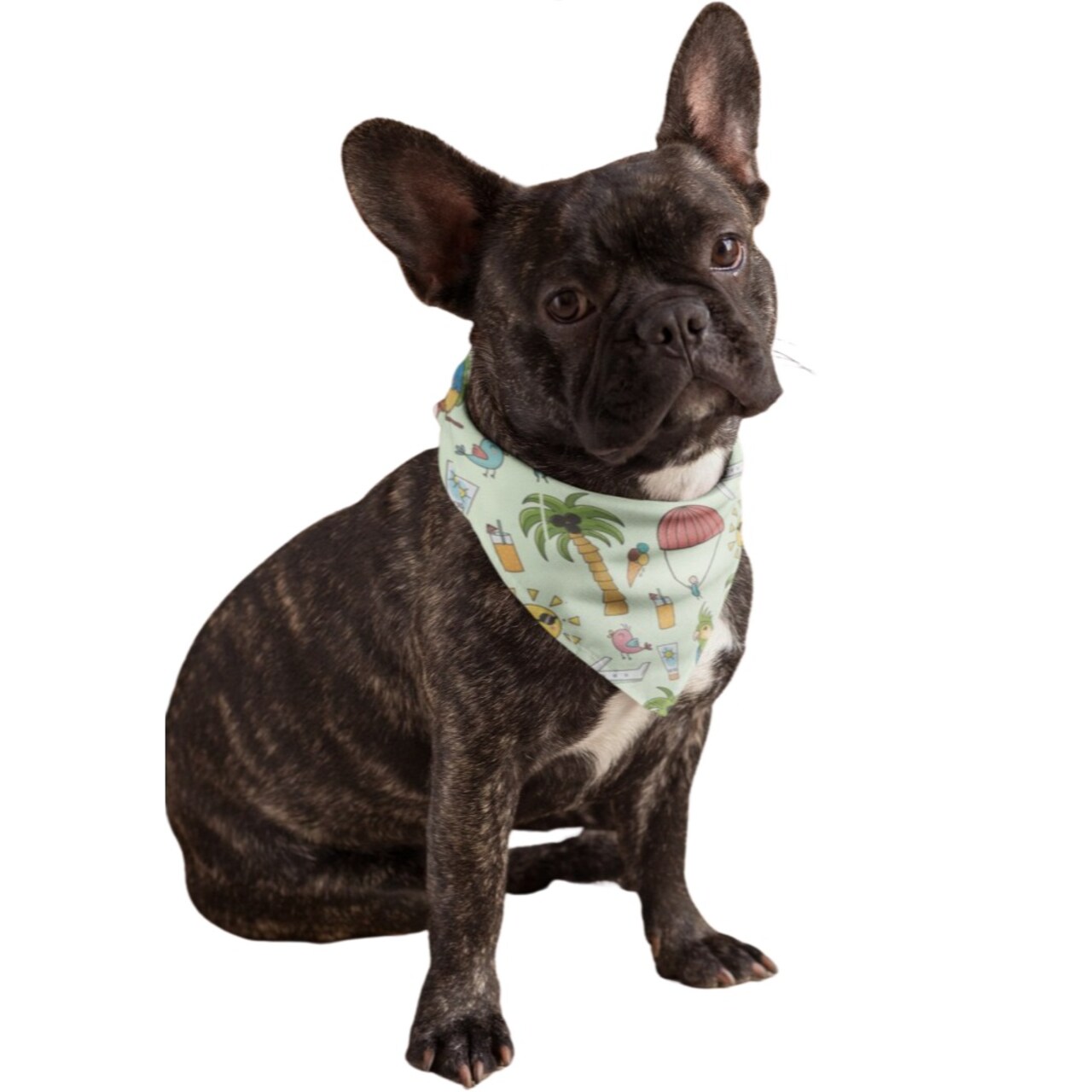 Mechaly Cotton Funny Dog Bandana with Designs Durable Birthday Pet Scarf